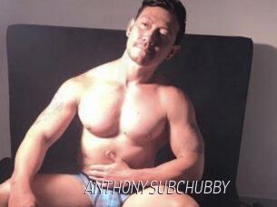 ANTHONYSUBCHUBBY