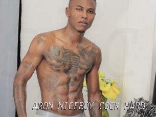 ARON_NICEBOY_COCK_HARD