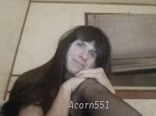 Acorn551