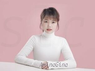 AminaGina
