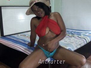 AniKarter