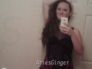 AriesGinger