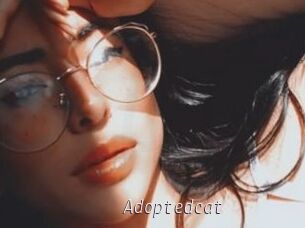 Adoptedcat