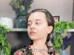 Aftonhase