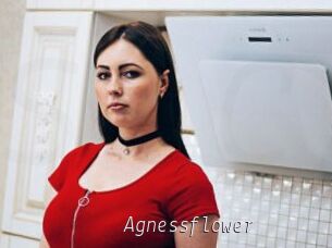 Agnessflower