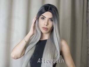Alicequin