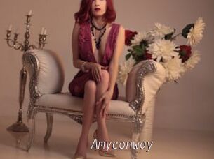 Amyconway