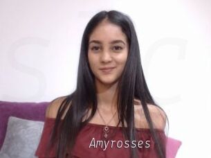 Amyrosses