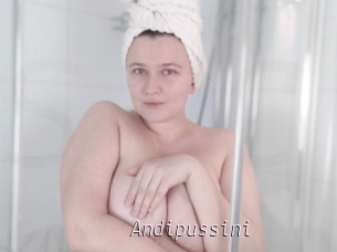 Andipussini