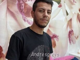 Andresgreys