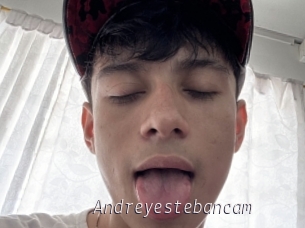 Andreyestebancam