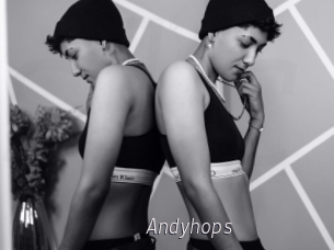 Andyhops