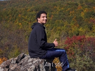 Anis66
