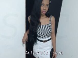 Anthonela_rosse