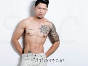 Anthonycub