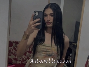 Antonellatobon