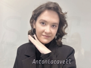 Antoniacavell