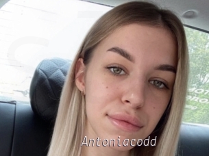 Antoniacodd