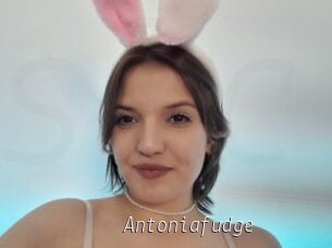Antoniafudge
