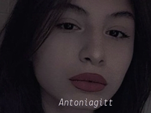Antoniagitt