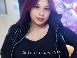 Antoniarouse101cm