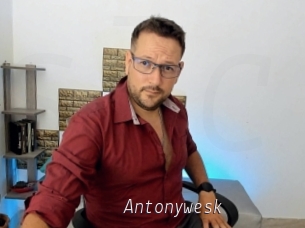 Antonywesk