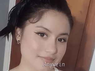 Anywein