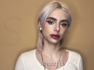 Aracaris