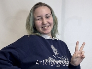 Arleighdagg