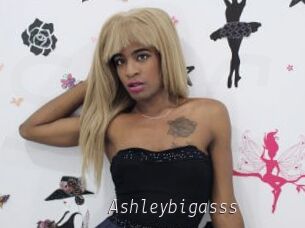 Ashleybigasss