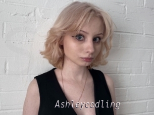 Ashleycodling