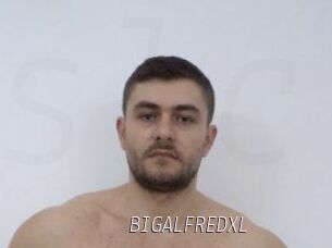 BIGALFREDXL