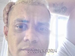 BIGDICKFORU4