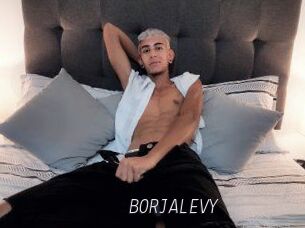 BORJALEVY