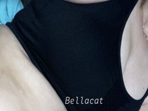 Bellacat