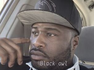 Black_owl