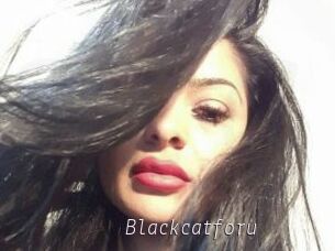 Blackcatforu