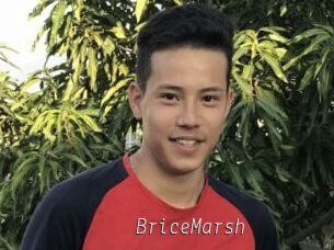 BriceMarsh