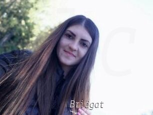 Bridgat