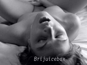 Brijuicebox