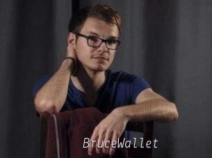 BruceWallet