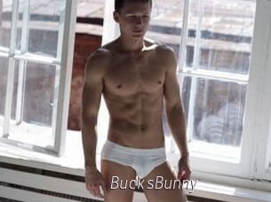 BucksBunny