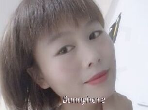 Bunnyhere