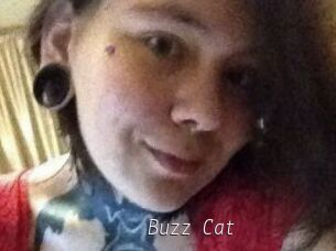 Buzz_Cat