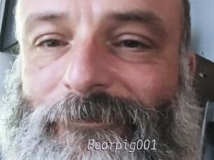 Bearpig001