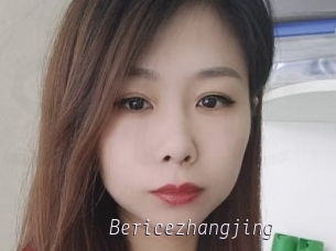 Bericezhangjing
