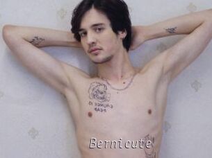 Bernicute