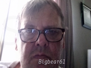 Bigbear61