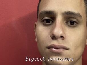 Bigcock_handsomes