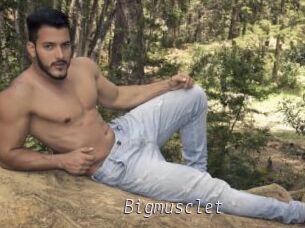 Bigmusclet